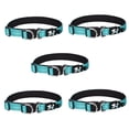 thumbnail image 1 of Collares ajustables para perros pequeños con anilla para identificación. Seguros y cómodos., 1 of 6