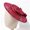 Wine, variant on French Style Large Brim Fascinator Headband Sheer Mesh Bow‑Knot Decor No‑Top Sun Hat Elegant Women Party Head‑Accessory
