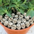 thumbnail image 2 of nvzhuang Halloween Skull Ornaments Flowerpot Desktop Decorations Small Skulls for Crafts Skull Head Statue Desktop Skull Decor, 2 of 8