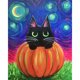 thumbnail image 1 of Pintura de diamante (DE6734) 5D DIY Kits de diamantes de imitación cuadrados de calabaza y gato 30x40cm FLhrweasw Nuevo, 1 of 1