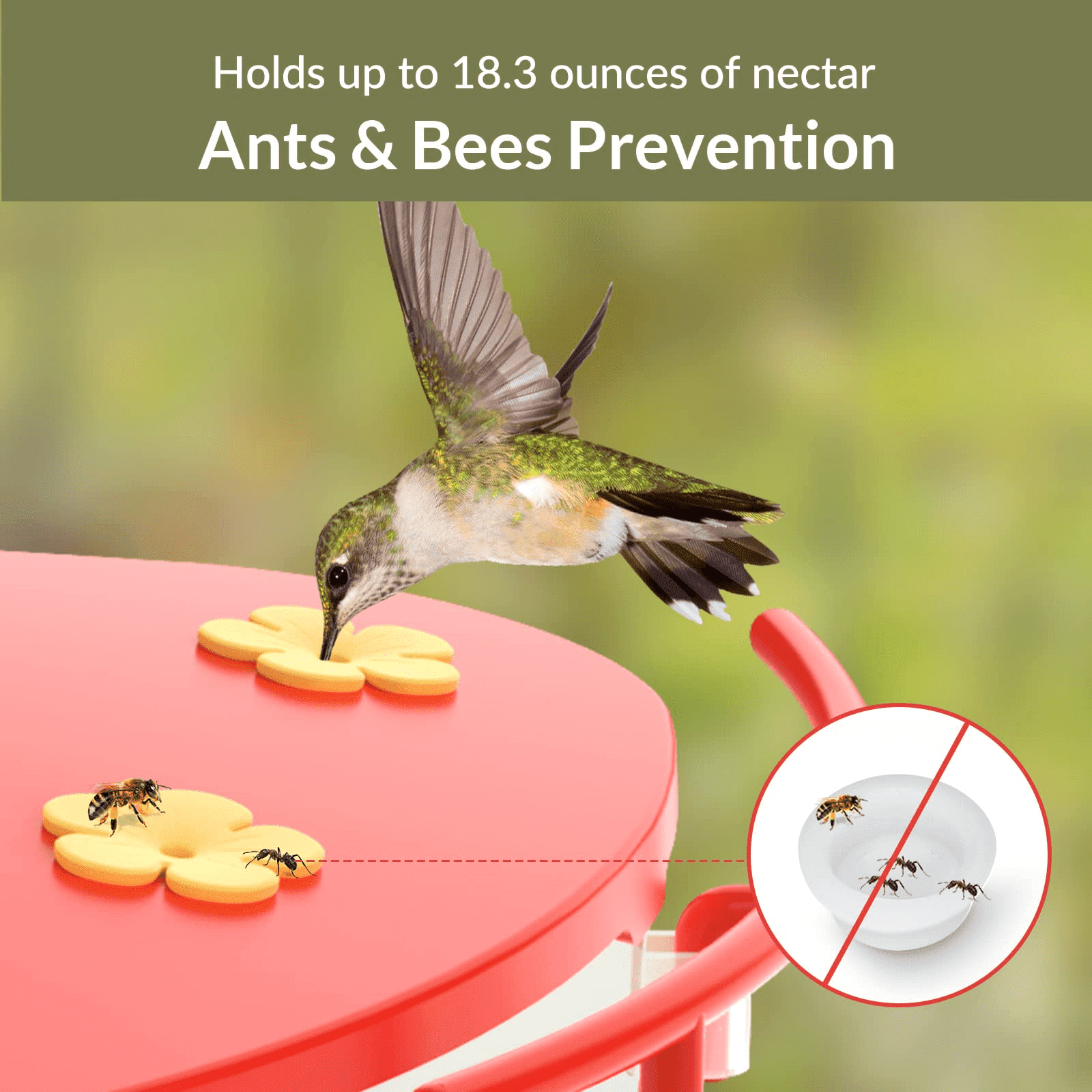 NETVUE Birdfy Add-ons, Hummingbird Feeder Extension, 18.3 oz Hummingbird Feeders Perch Easy Filling & Easy Cleaning