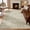 Antique Sage, variant on Toyoso 2'x3' Ornate Floral Accent Rug, Mocha Brown and Cream Silicone Entrance Mat, Traditional Bordered Machine Washable Low Pile Indoor Rug, Non-Slip Backing Stain Resistant Floor Cover Carpet Mat