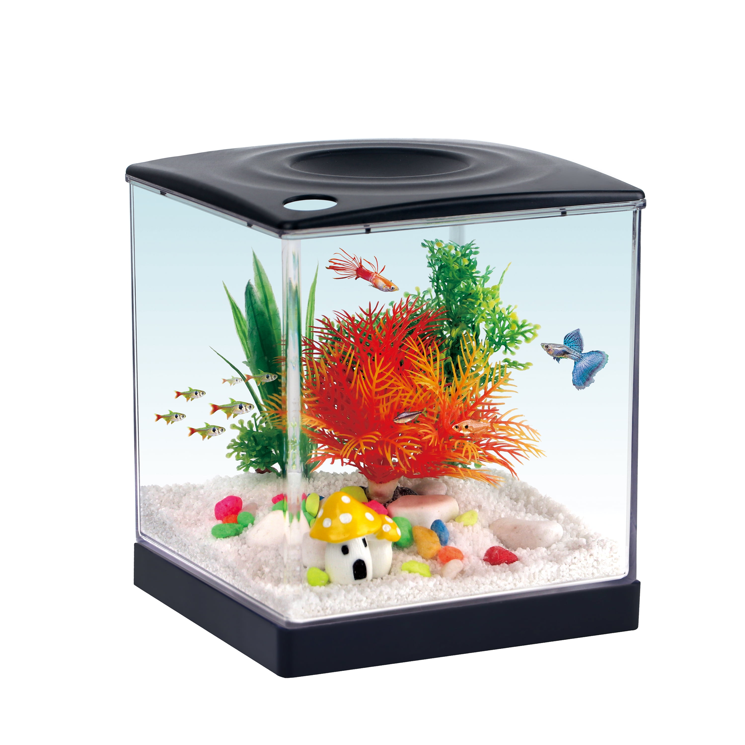 Negatieve druk aquarium, Moderne Fish Tank, Clear Fish Lift Negatieve