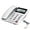 White, variant on Landline Telephone Corded Desktop Large Button Phone for Seniors with Call Display Corded Phone for Seniors Home Hotel