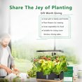 thumbnail image 4 of RainPoint 5L Smart Hydroponics System, Indoor Growing Kit 13 Pods, 4 of 15