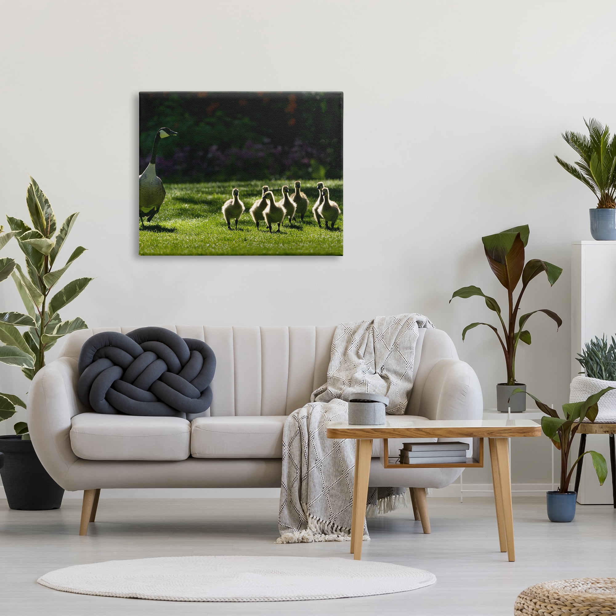 Stupell Industries Goose Family Photography Animals & Insects Photography Gallery Wrapped Canvas Print Wall Art, 40 x 30