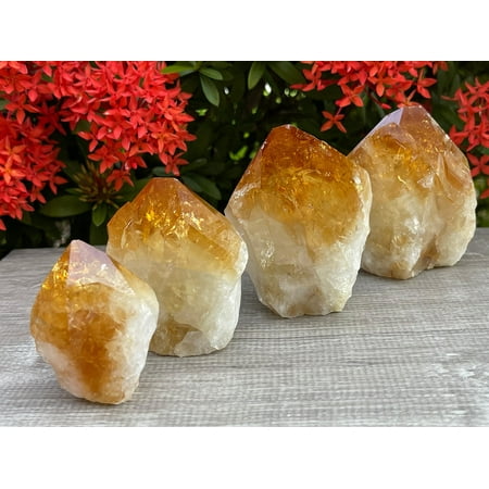 Standing Citrine Top Polished Rough Point, Deep Orange Citrine Crystal Point Cut Base, Money Stone, Success Stone (8-10 oz)