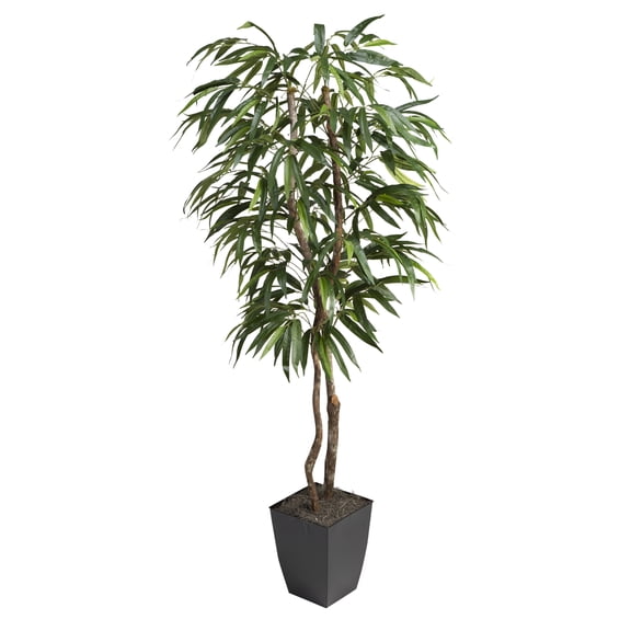 D&W Silks 6' Weeping Ficus Tree in Black Square Metal Planter