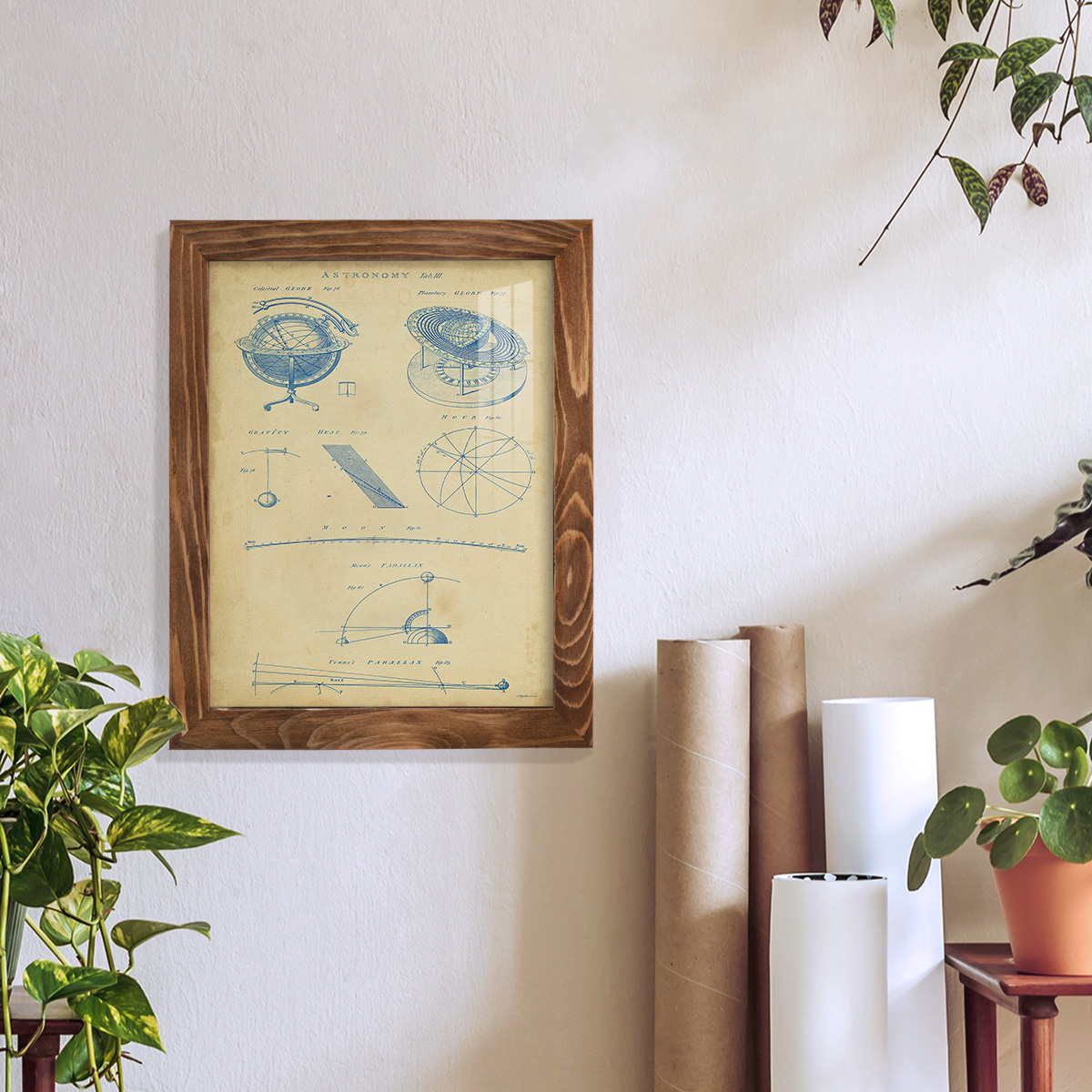 Vintage Astronomy III -Framed Print w/glass-Walnut