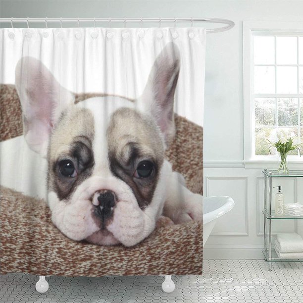 Cynlon Bull French Bulldog Puppy Lying In Dog Domestic Bathroom Decor Bath Shower Curtain 66x72 Inch Walmart Com Walmart Com
