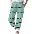 thumbnail image 1 of Timegard Womens Plus Size Pants Striped Straight Leg Elastic Waist Lounge Pants with Pockets Fall Travel, 1 of 5