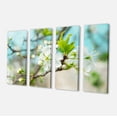 thumbnail image 2 of Beautiful Cherry Blossom n Spring - Floral Canvas Art Print, 2 of 3
