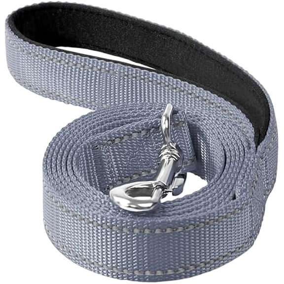 Eryueer Reflective Dog Leash 4ft Soft Padded Handle Nylon Lead for Small & Medium Dogs, Durable Walking Training Leash for Night Safety (Gray,3/4Inch Wide)