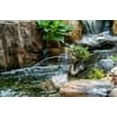 thumbnail image 6 of Aquascape Fairy Planter and pond Spitter, 6 of 7