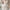 White, variant on Juslio Women Nightgowns Lace Nightgowns for Women Sexy Comfortable Short Sleepshirts