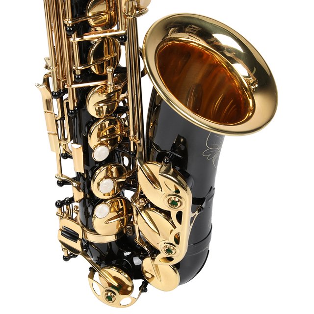 Saxofón Alto de Estudiante Drop E Brass Sax E Flat Gold Lacquer Kit Completo de Saxo Alto para Principiantes con Boquilla Estuche de Transporte Guantes Correa Desmontable ANGGREK Otros