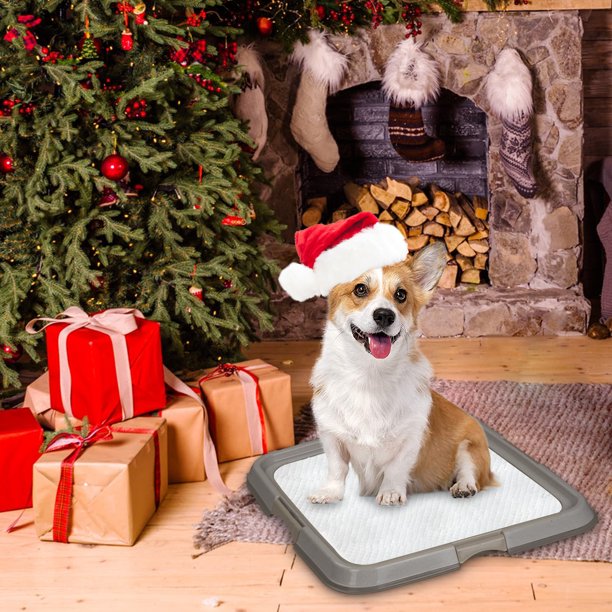 PAWISE Indoor Dog Potty Training Pad Holder, Large