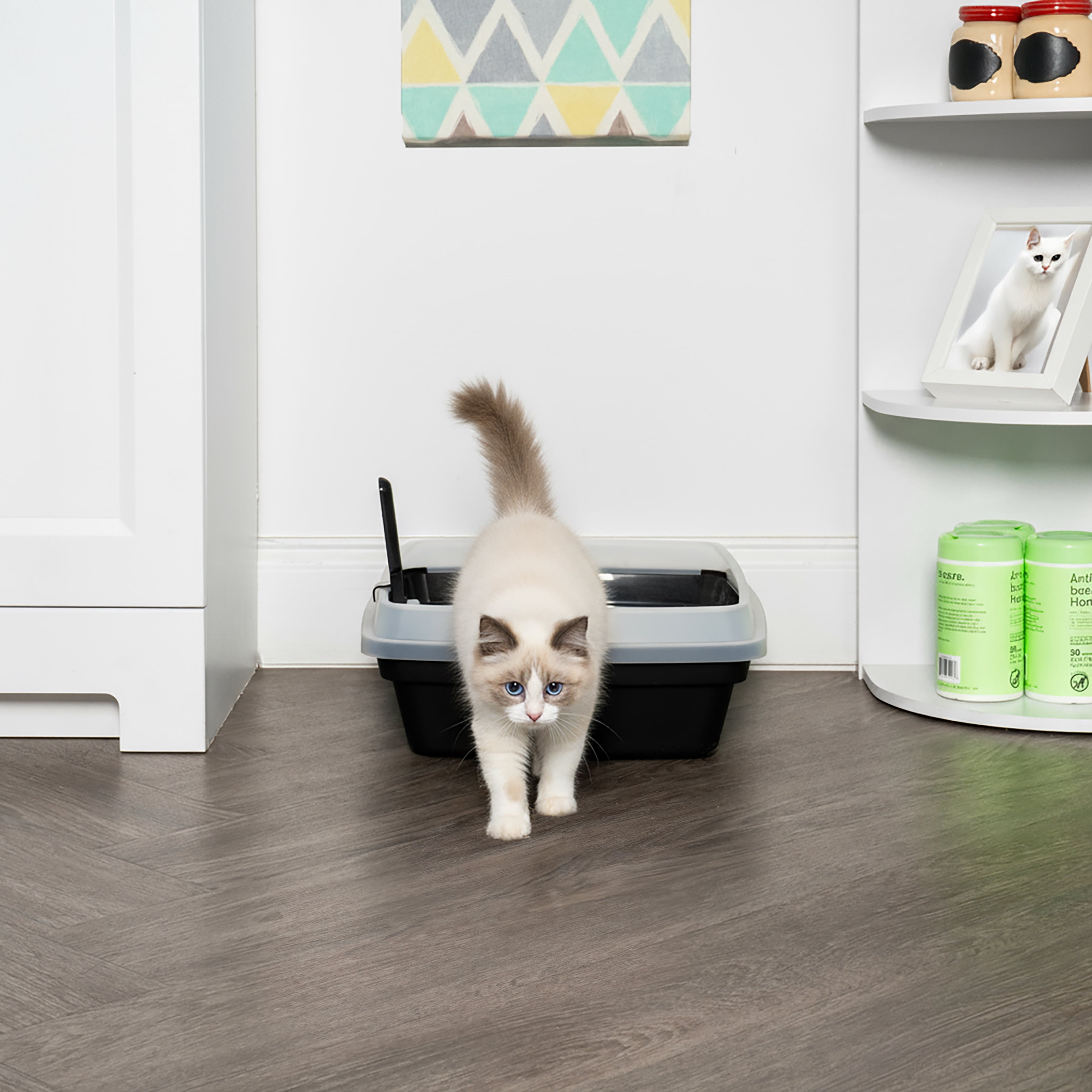 'IRIS Open Top Cat Litter Box with Scoop, Plastic Pan , Black