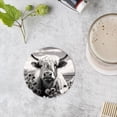 thumbnail image 4 of BaHomeck Drink Coasters Set of 4 with Holder Highland cow standing amidst field of flowers Water Absorbent Ceramic Coasters Tabletop Protection,Suitable for Various Cup ,Home Decor, 4 of 4