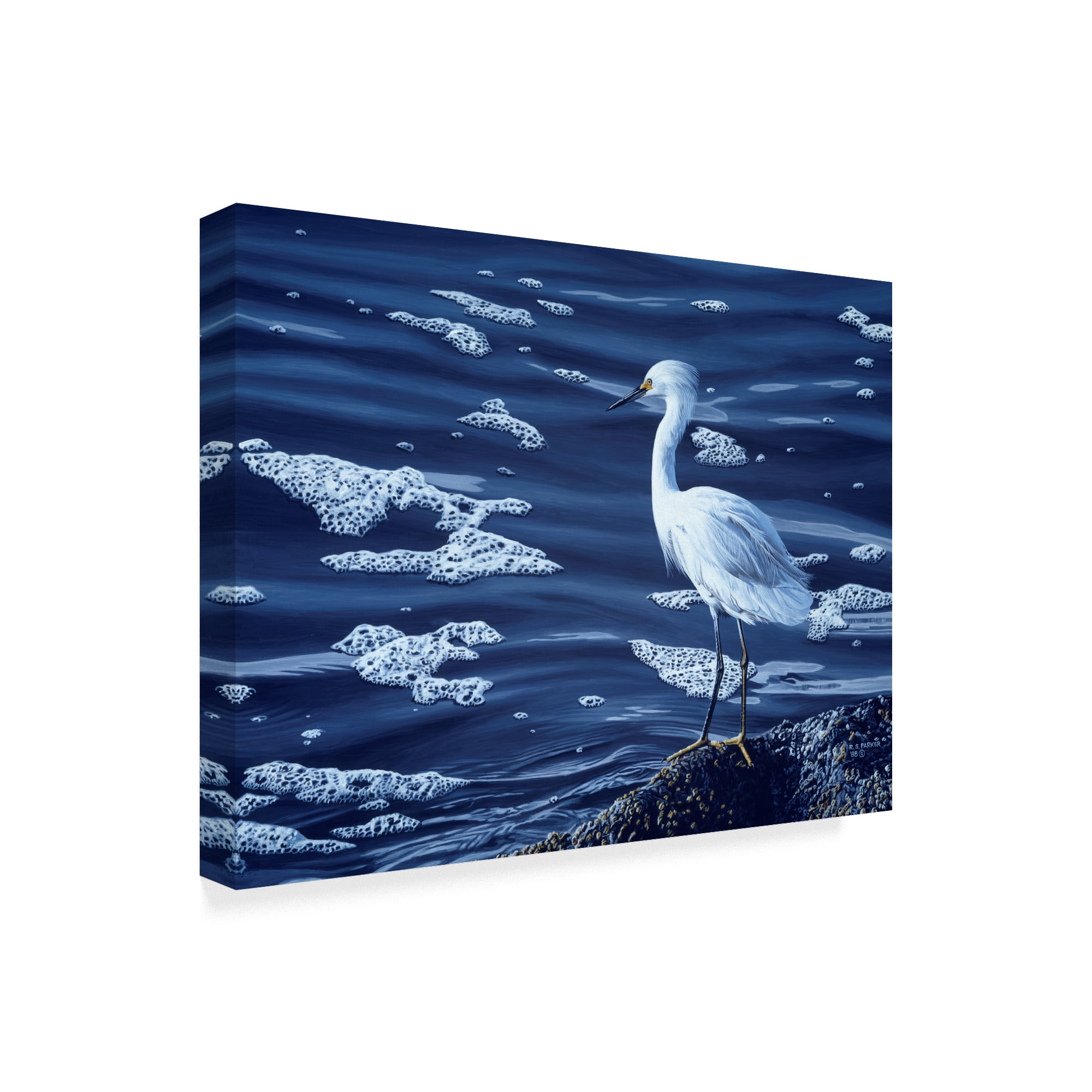 Trademark Fine Art 'Snowy Egret' Canvas Art by Ron Parker