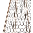 thumbnail image 5 of Set of Six Panacea 83280 Rustic Wire Garden Cloches, 20" H Each, 5 of 9