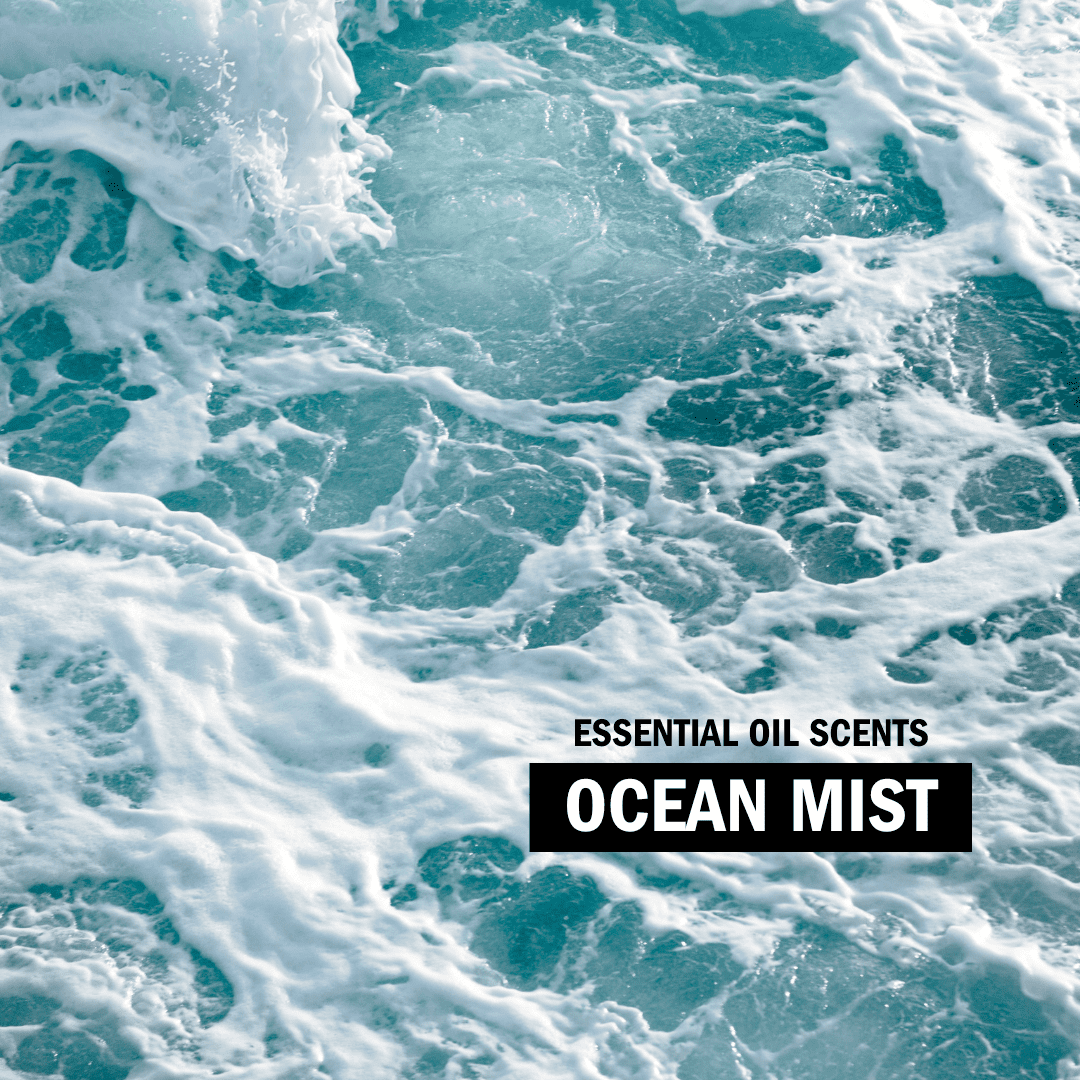 Molly's Suds Natural Liquid Laundry Detergent | High Efficiency (HE) | Ocean Mist - 100 Loads