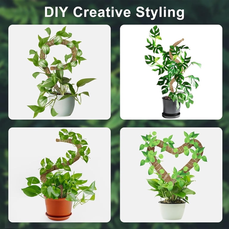 planted terrariums for sale Handmade Glass Terrarium – LeadHead Glass main image 1