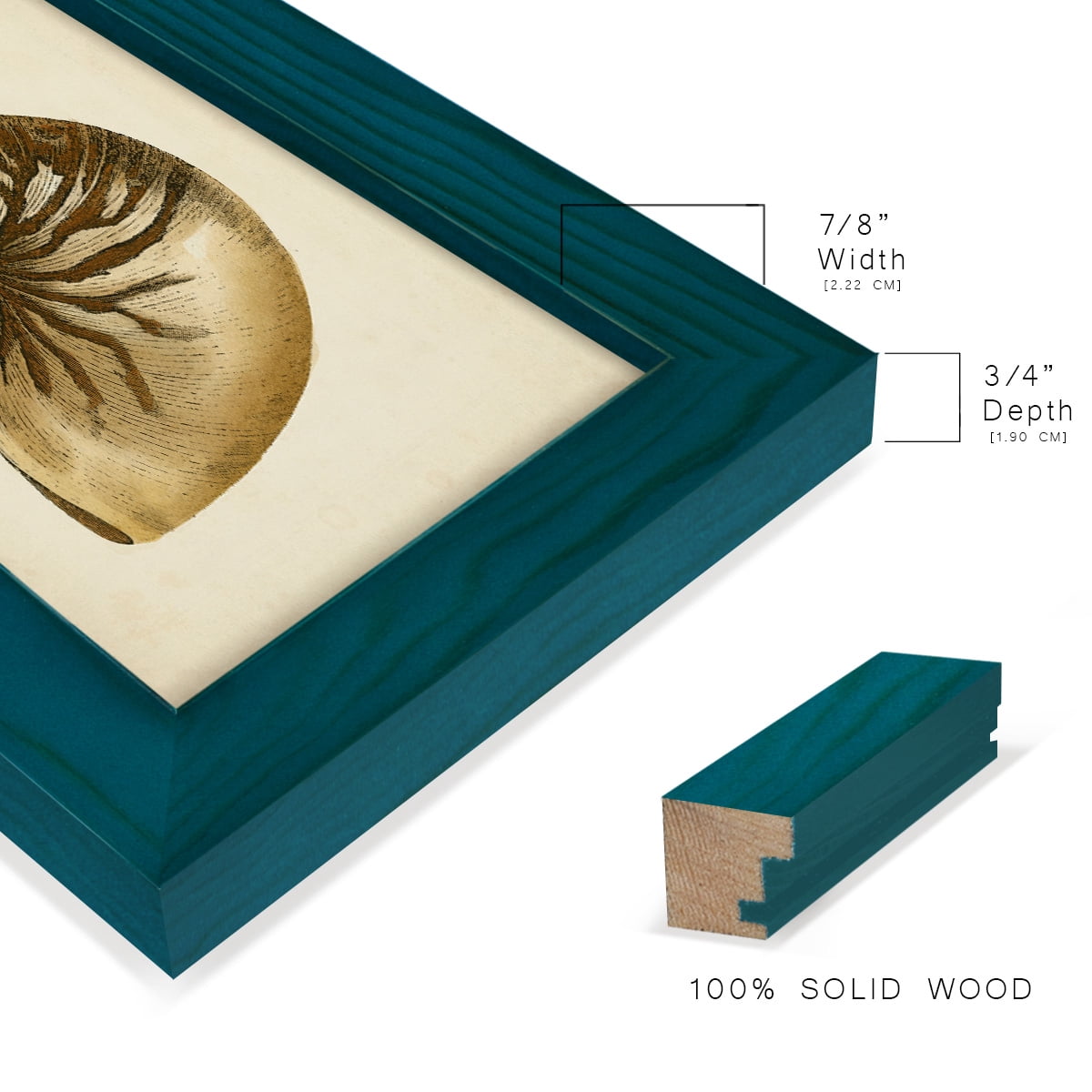 Sealife Collection V - Framed Print w/glass - Ocean Blue