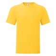 thumbnail image 1 of Fruit Of The Loom Mens Iconic T-Shirt, 1 of 4