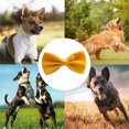 thumbnail image 5 of ? formal dog bow tie for medium and large dogs, 5 of 5