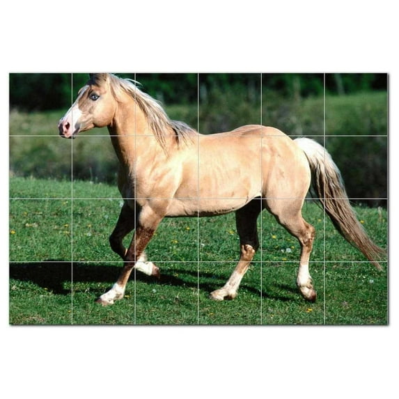 Horse Photo Ceramic Tile Mural Kitchen Backsplash Bathroom Shower, 405247-S64