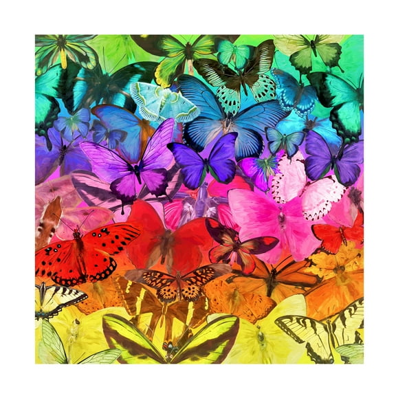 Cora Niele 'Rainbow of Butterflies' Canvas Art