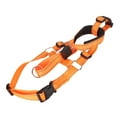 thumbnail image 2 of Bozal para perro NikouMX ajustable con collar para la cabeza, 2 of 8