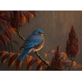 thumbnail image 2 of Goebel, Wilhelm 18x14 White Modern Wood Framed Museum Art Print Titled - Autumn Bluebird, 2 of 4