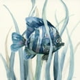 thumbnail image 3 of Nan 20x20 Black Modern Framed Museum Art Print Titled - Fish in Seagrass I, 3 of 5