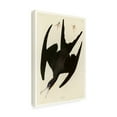 thumbnail image 4 of Audubon 'Frigate Pelicanplate 271' Canvas Art, 4 of 4