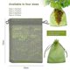 thumbnail image 3 of 50 bolsas protectoras para frutas que protegen las plantas de plagas con bolsas de malla con cordón., 3 of 5