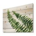 thumbnail image 2 of Designart 'Fern Plant Leaves Detail I' Farmhouse Print on Natural Pine Wood, 2 of 5