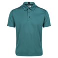 thumbnail image 1 of Regatta - Polo Breckenlite Highton Pro para Hombre (Verde Pacífico), 1 of 5