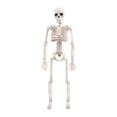 thumbnail image 1 of de halloween,Decoración juguete modelo de Halloween,Halloween Poseable Party ,Modelo de de Yotijar esqueleto de halloween, 1 of 4