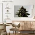 thumbnail image 4 of Elephant Stock Blossoming Cannabis Plant Wall Art - Horizontal Canvas Wall Art - Living Room Wall Decor - Floral And Botanical Canvas - Gray And Green Decor - 12" x 8", 4 of 4