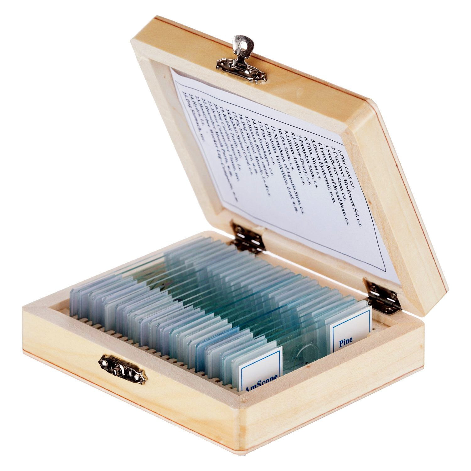 PS25W Prepared Microscope Slide Set for Basic Biological Science