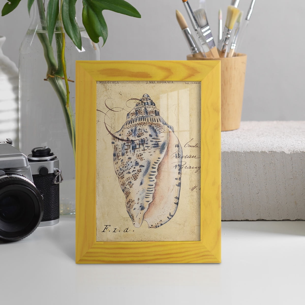 Seashell Ephemera I - Framed Print w/glass - Sunflower Yellow