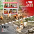 thumbnail image 4 of Huloretions Chicken Nesting Box, Nesting Boxes for Chickens, 6 Compartment Chicken Nesting Box, Metal Chicken Laying Boxes with Perch, Secure Lid, Versatile Wall Mount or Free Standing Easy Egg Collec, 4 of 4