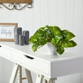 thumbnail image 3 of Nearly Natural 9in. Pothos Artificial Plant in White Planter (Real Touch), 3 of 4