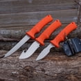 thumbnail image 5 of Maxam  Fixed Blade Skinning Knife Set, 5 Piece, 5 of 6