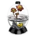 thumbnail image 2 of WonderBubble, 2 of 7