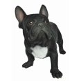 thumbnail image 1 of Figura Boston Bull Terrier de Hi-Line Gift Ltd. 56 x 30 x 41 cm, 1 of 1