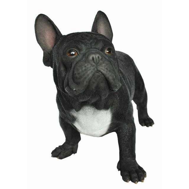 Figura Boston Bull Terrier de Hi-Line Gift Ltd. 56 x 30 x 41 cm