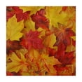 thumbnail image 4 of Acheng Leaves Table Cloth Red and Yellow Background Square Table Cover Waterproof 100% Polyester Fiber 36*36, 4 of 8